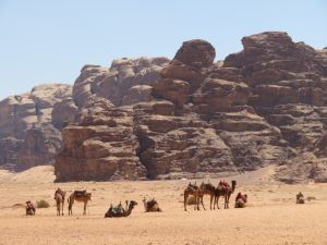 wadirum1